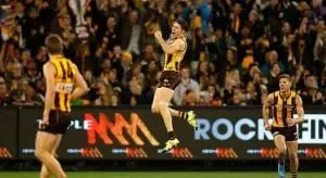 Preliminary final preview