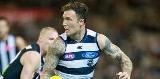 Cats tall suffers another injury setback