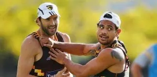 Hawthorn Hawks Training Session