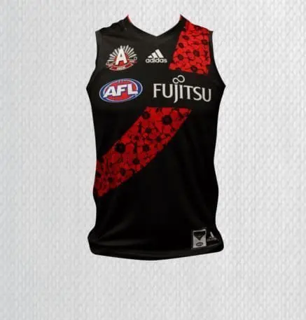 Dons ANZAC jumper