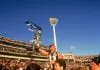 Frawley reveals his top five all-time annoying pests