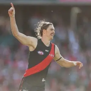 Daniher wins Crichton Medal, as Danger claims back-to-back Carji Greeves Medals