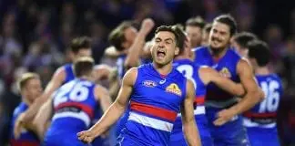 REPORTS: Cats eye premiership Dog with long-term contract