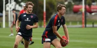ACL injury ends Dees youngster Nietschke's season