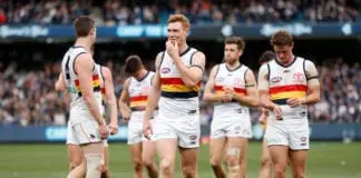 Issues at Adelaide derailing season: Wilson