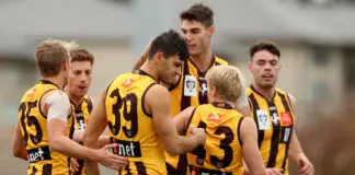 State League Wrap: Shark boots 10 goals, Tigers young gun impresses
