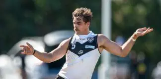 Sydney finalise 2027 coaching structure as former Gold Coast player joins ranks Bevy of ex-AFL talent set to buoy VFL outsider's premiership dream