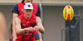 Demons confirm jumper numbers for new recruits
