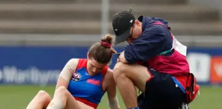 Dogs' small added to inactive list following concussion call