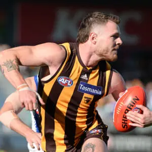 The paradox of Hawthorn’s backline