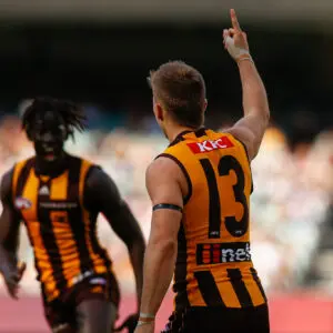 Piecing it together: How is Hawthorn’s puzzle progressing?