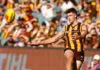 Piecing it together: How is Hawthorn’s puzzle progressing?