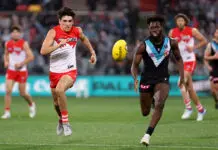 Former Port Adelaide player cops ban for homophobic slur in SANFL Cat and Dog's keys to winning, Fremantle's surprise spark: Every AFL finals side's barometer player