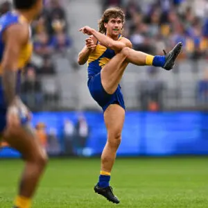 Blues rise as Dockers, Swans drop: AFL Power Rankings - Round 10