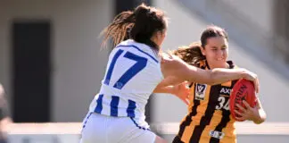 More AFLW expansion clubs swoop on talent