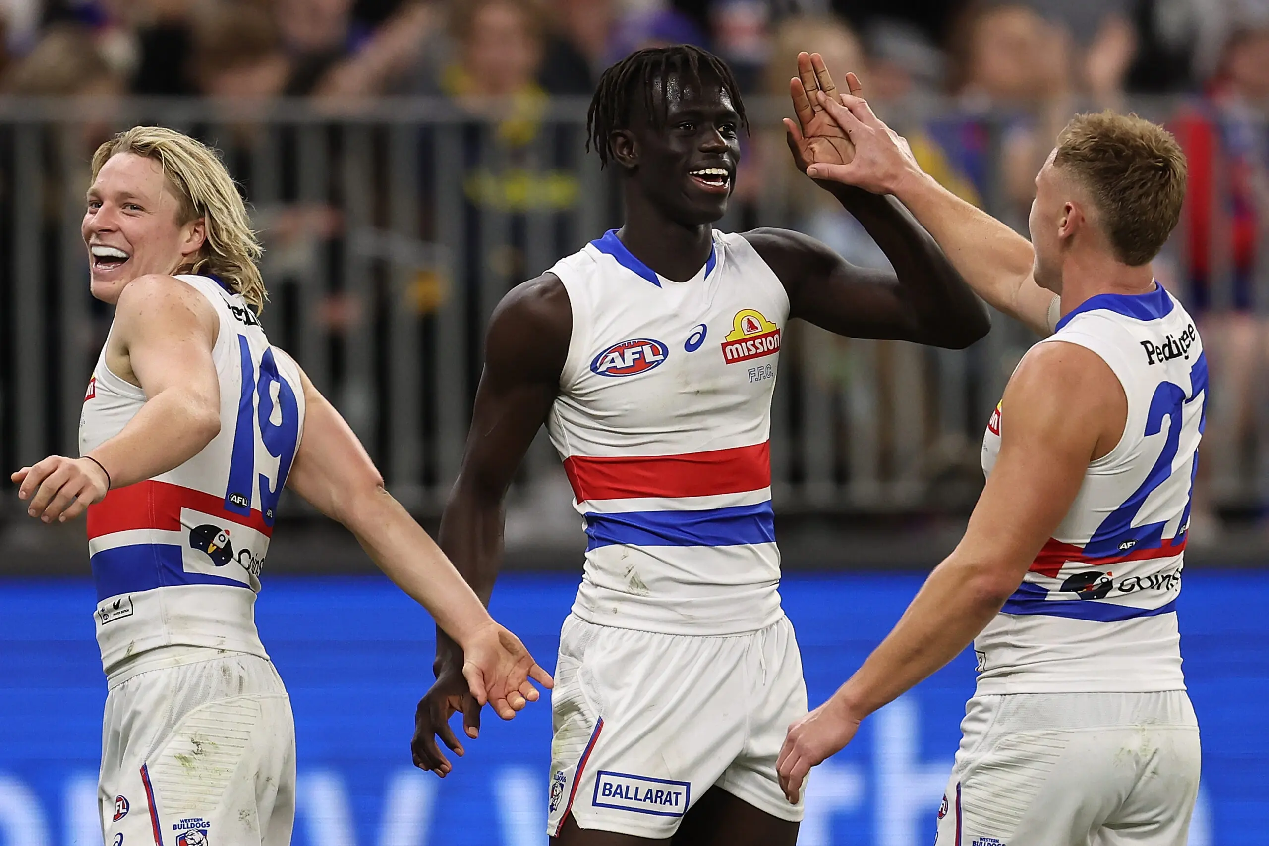 Trio of Dogs extend their stay at Whitten Oval