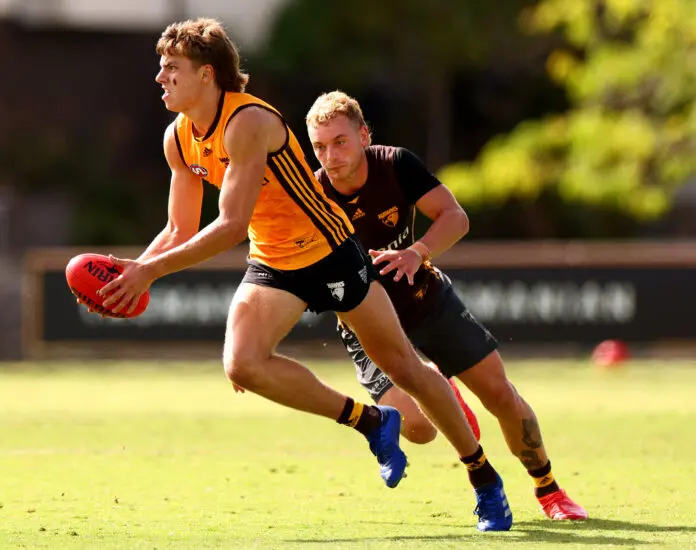 Hawthorn to unveil debutant Jai Serong for Suns clash