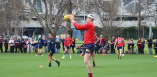 Melbourne premiership forward undergoes surgery following unique incident IMG_0093