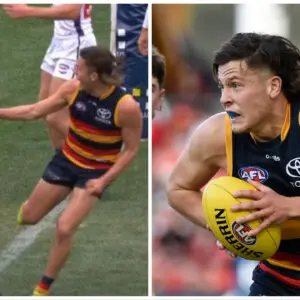 AFL dropped the ball on umpire contact in Soligo case
