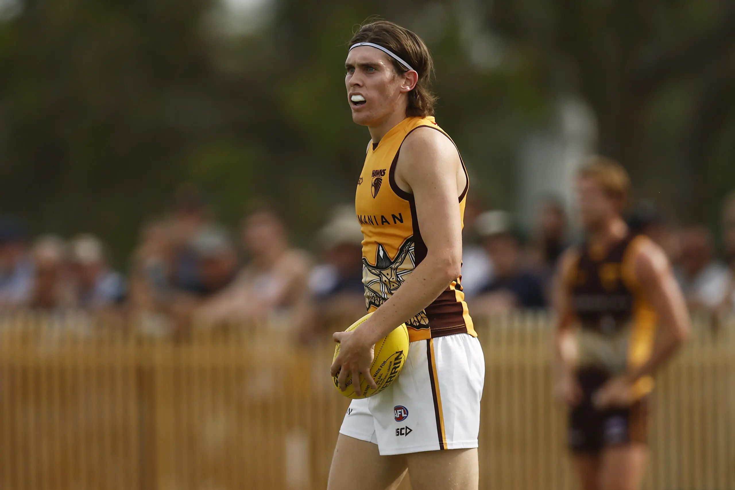 Hawk Will Day unsuccessful at AFL Tribunal after challenge of two-game suspension