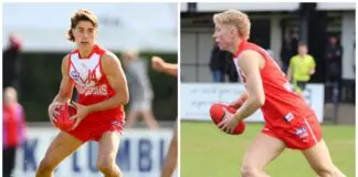 VFL clubs Box Hill, Richmond continuing as AFL recruiting gold mines