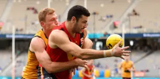 The ultimate showdown: Previewing the SANFL vs WAFL 2023 State Game