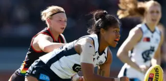 Carlton, Essendon condemn racial vilification of "deeply hurt" Blues defender