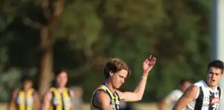 Photo: Rob Lawson/AFL Photos