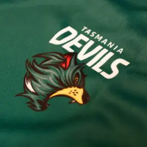 Logo, colours, guernsey and name for new Tasmania AFL team revealed