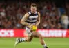 Cats-scan of 'Danger' reveals timeline as young duo deemed ready for Easter Monday