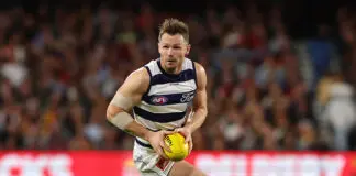 Cats-scan of 'Danger' reveals timeline as young duo deemed ready for Easter Monday