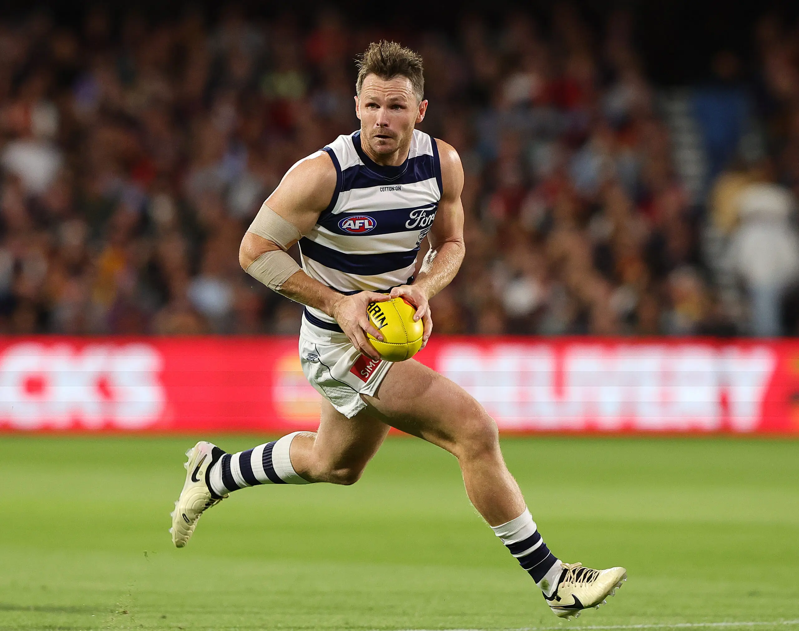 Cats-scan of 'Danger' reveals timeline as young duo deemed ready for Easter Monday