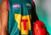 "Tasmanians have just about had enough of this": Tensions rise over stadium debate as election looms