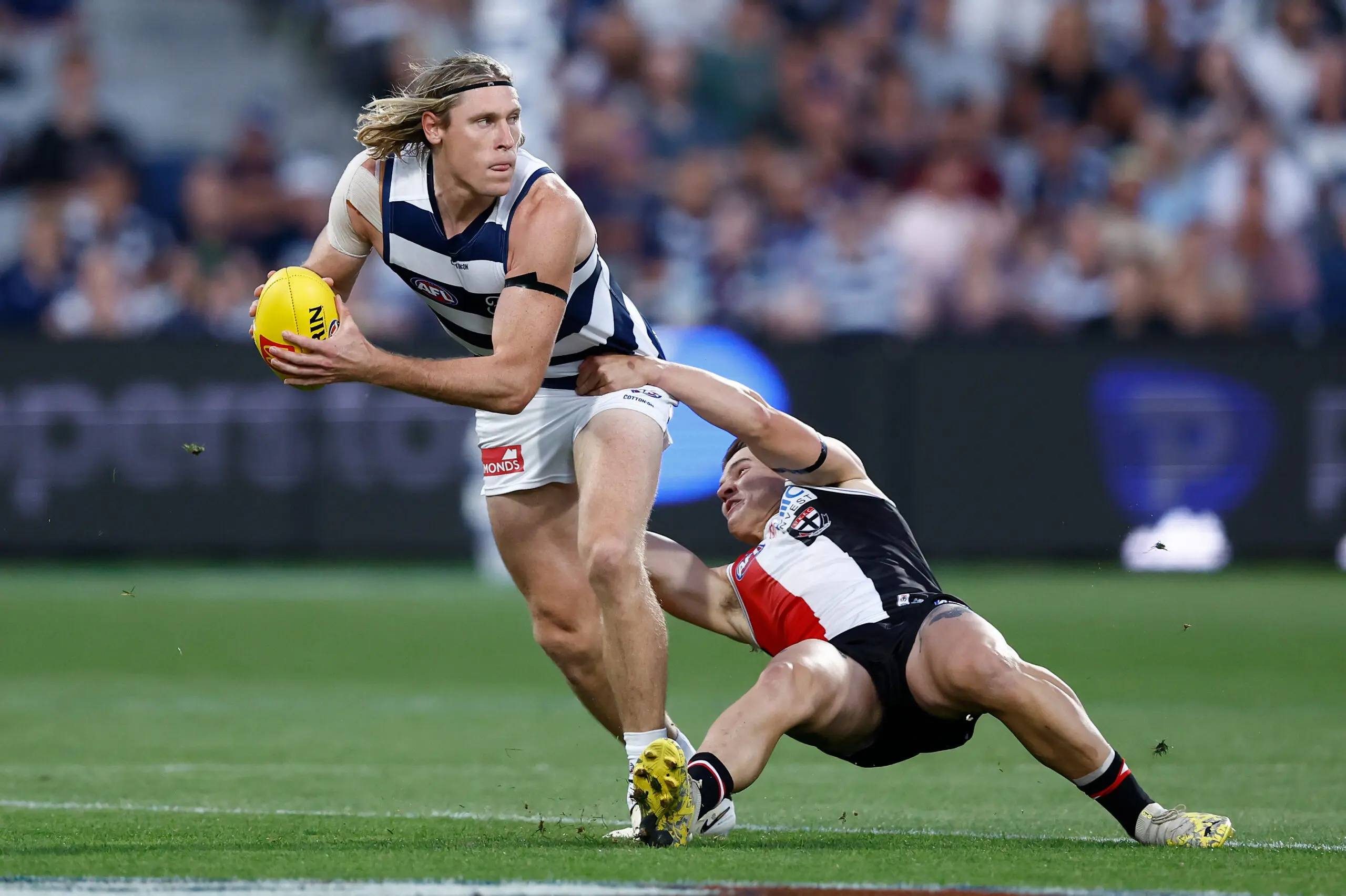 Aspiring Olympian-turned-Geelong star 'inspiration' to club ahead of 250 games