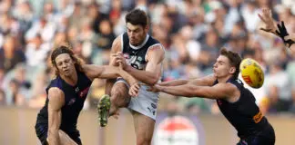 AFL acknowledges error in controversial Carlton win, ex-umpire lashes out on "spoilt brat"