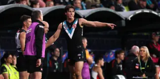 Port trio suffer setbacks ahead of Showdown, hard-nut done for season