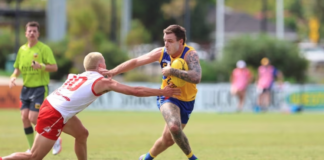 Former Collingwood utility backed to make AFL comeback after strong start with new club