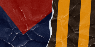 Behind the scenes of the 1996 Melbourne-Hawthorn merger vote