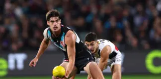 The stats that matter for your AFL team in Round 15