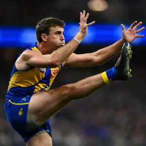 The player having the most underrated season at your AFL club