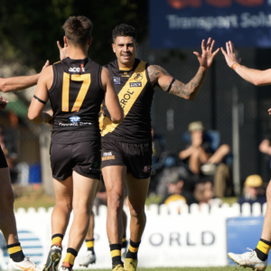 Ex-Swan fires for Tigers, young Panther stakes Mid-Season Draft claim: SANFL Wrap - Round 5