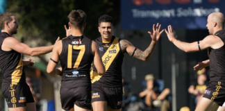 Ex-Swan fires for Tigers, young Panther stakes Mid-Season Draft claim: SANFL Wrap - Round 5