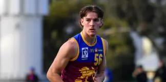 Mixed results for senior Cats, Lions flex attacking power as Queensland clubs progress: VFL Wrap