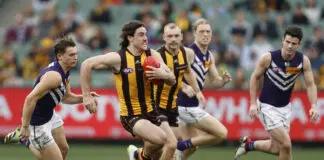 The stats that matter for your AFL team in Round 22