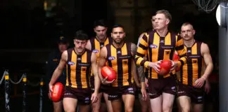 Hawks skipper talks maturity, fitness and forward role