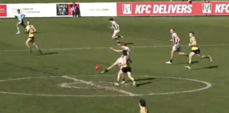 MUST WATCH: Fringe Pie's 80m bomb caps off career day