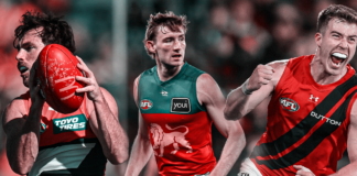 The top five 2024 AFL All-Australian snubs