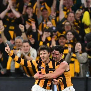 Hawthorn advance to semi final in September statement