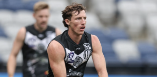 The VFL stars who might have their Mannagh moment in 2024