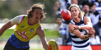 The untried Bulldog who could follow in the footsteps of a young Cats star